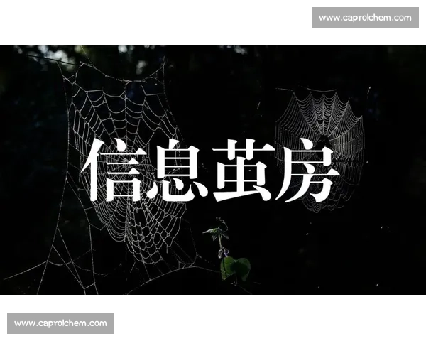 乱象解码:信息茧房与流量狂欢下的社会困局 乱象解码:信息茧房与流量狂欢下的社会困局