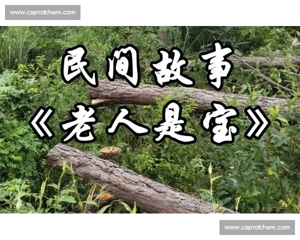 家有一老如有一宝:弟媳补水时的战术奇迹 家有一老如有一宝:弟媳补水时的战术奇迹