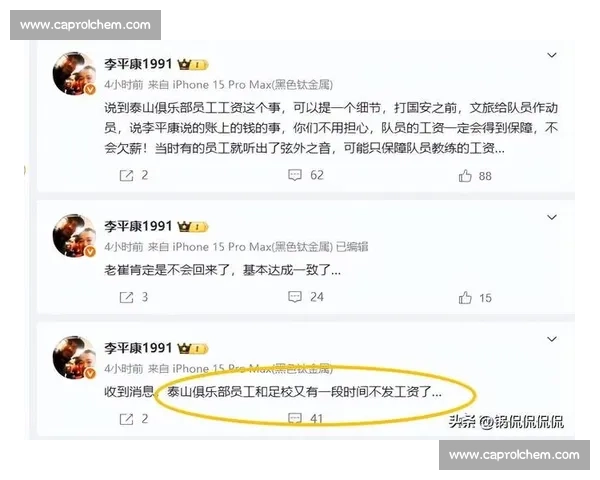 山东泰山账上仅剩 23 万!李平康曝 6 月 30 日晚现金流告急 山东泰山账上仅剩 23 万!李平康曝 6 月 30 日晚现金流告急