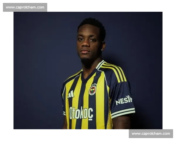 土耳其记者确认：那不勒斯、费内巴切正式报价哥伦比亚前锋杜兰