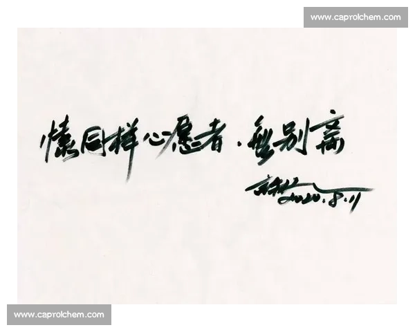 比苏马：为祖国出征，挫折是重启的序章