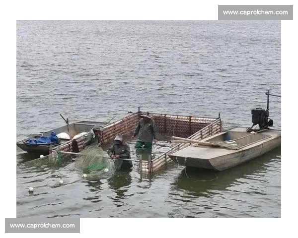 雨后水库捕鱼潮：千人围捕，有人日赚 1500 元