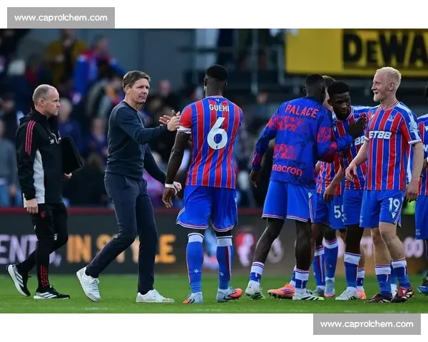 水晶宫携 7 人团队 4 箱证据赴 CAS 听证 力证欧足联双重标准